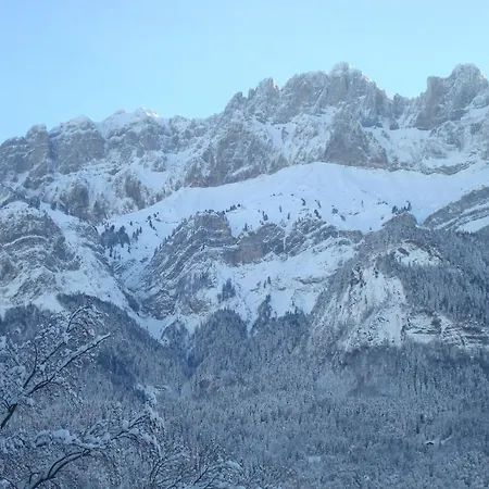 Chalet Choseaux *